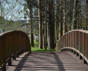 As Pontes de García Rodríguez es un municipio Pet Friendly de Ferrolterra