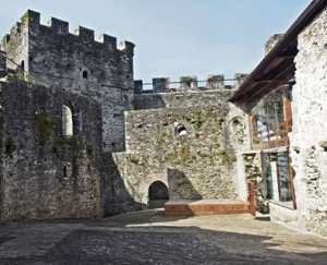 Moeche es un municipio Pet Friendly de Ferrolterra