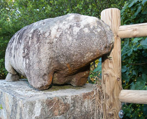 San Sadurniño es un municipio Pet Friendly de Ferrolterra