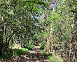 Vilarmaior es un municipio Pet Friendly de Ferrolterra